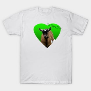 Love Pygmy Goats! T-Shirt